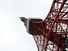 05_Tokyo-tour_Tokyo-Tower_00017.JPG