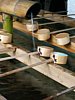 06_Tokyo-tour_Meiji-shrine_00010.JPG