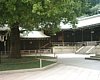 06_Tokyo-tour_Meiji-shrine_00044.JPG