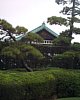 06_Tokyo-tour_Meiji-shrine_00049.JPG