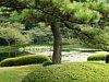 07_Tokyo-tour_Imperial-palace_00009.JPG
