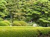 07_Tokyo-tour_Imperial-palace_00010.JPG