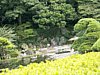 07_Tokyo-tour_Imperial-palace_00011.JPG
