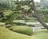 07_Tokyo-tour_Imperial-palace_00020.JPG