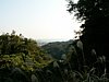 11_Kamakura_Daibutsu_00001.JPG