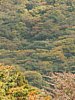 13_Hakone_Lac-Ashi_00006.JPG