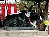 18_Kyoto-tour_Kitano-tenmangu-ji_00000.JPG