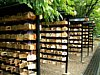 18_Kyoto-tour_Kitano-tenmangu-ji_00005.JPG