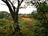 19_Kyoto-tour_Kinkaku-ji_00007.JPG