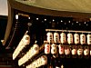 20_Kyoto_Maruyama-parc_00014.JPG