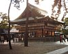 20_Kyoto_Maruyama-parc_00017.JPG