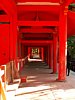 25_Nara_Kasuga-taisha_00007.JPG