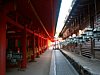 25_Nara_Kasuga-taisha_00008.JPG