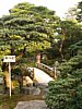 27_Kyoto_Palais-imperial_00022.JPG