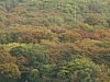 30_Osaka_Osaka-jo_00013.JPG