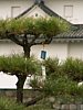 30_Osaka_Osaka-jo_00021.JPG